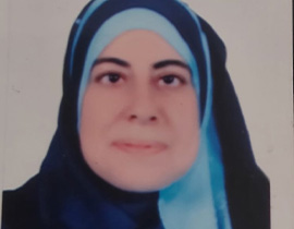 Dr. Nesreen Mohamad Abdel Galil Mohamad